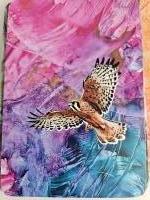 Boodschappen van de vogels bij rouw en verlies