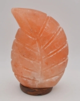 Zoutlamp Blad