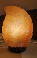Zoutlamp Blad